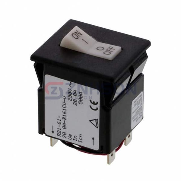 R21-61-20.0A-B161CV-V Preview