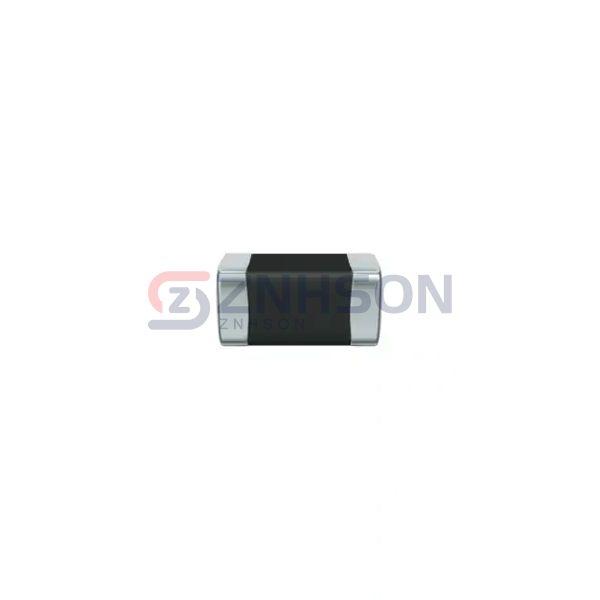 B72542V6600K062 Preview